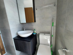 Spottiswoode Suites (D2), Apartment #457693871